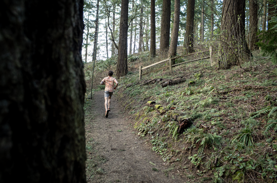 MYTH SHIRT - SS - ST. JOHNS