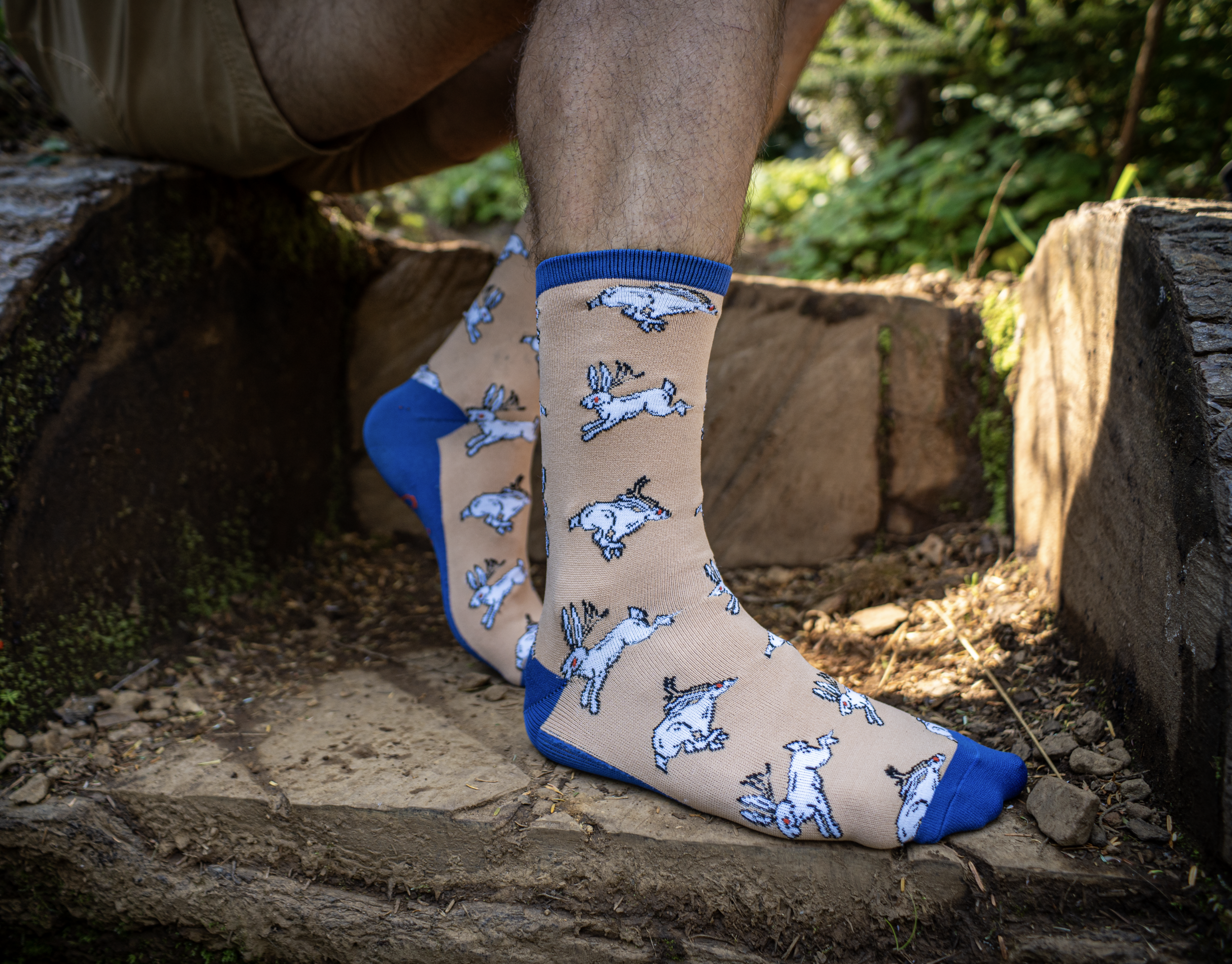 SOCKS